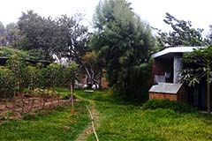 Bungalow con jacuzzi